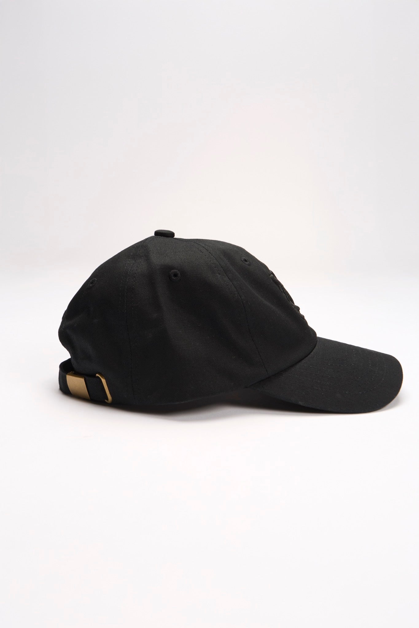 【online limited color】new logo cap