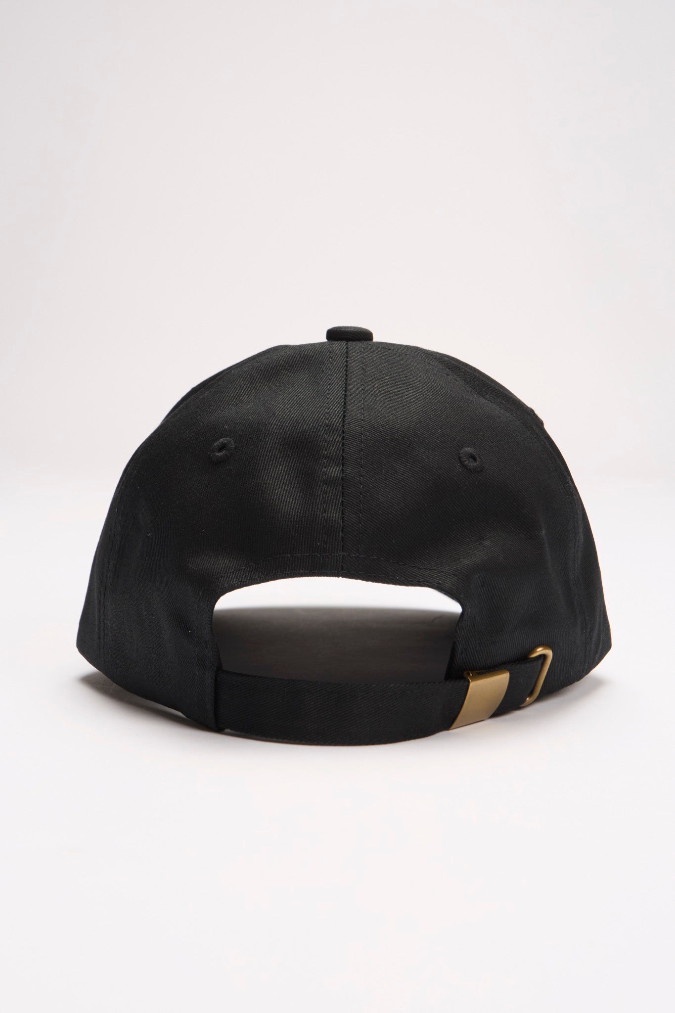 【online limited color】new logo cap