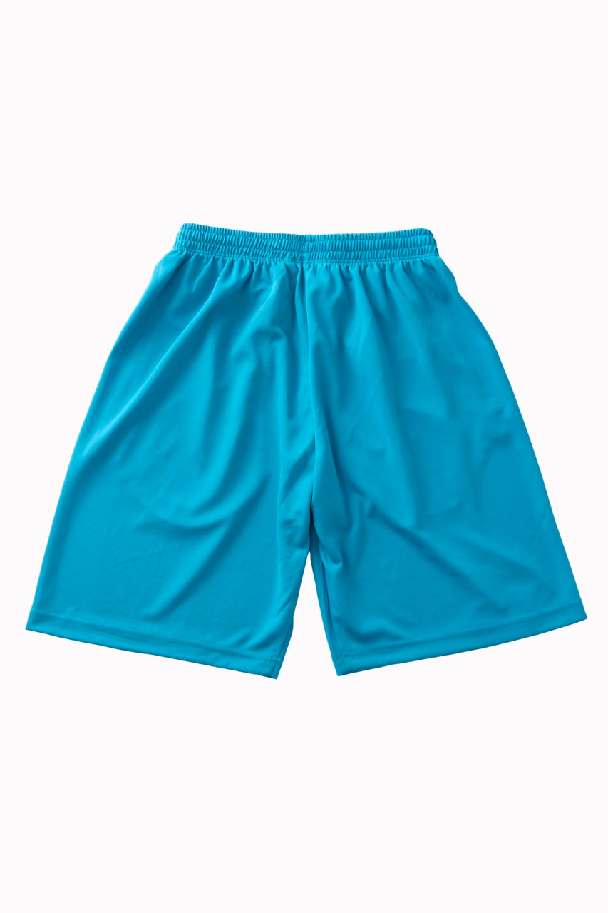 twelve equal basketball pants