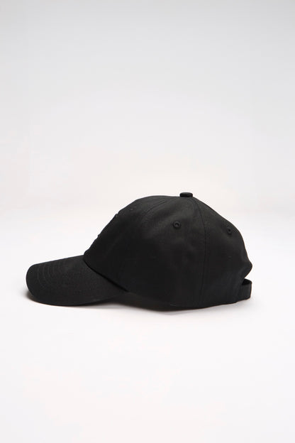 【online limited color】new logo cap