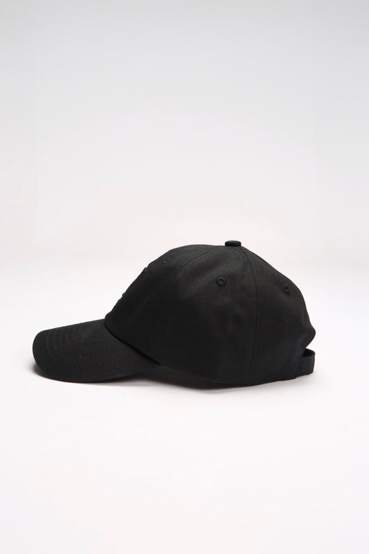 【online limited color】new logo cap