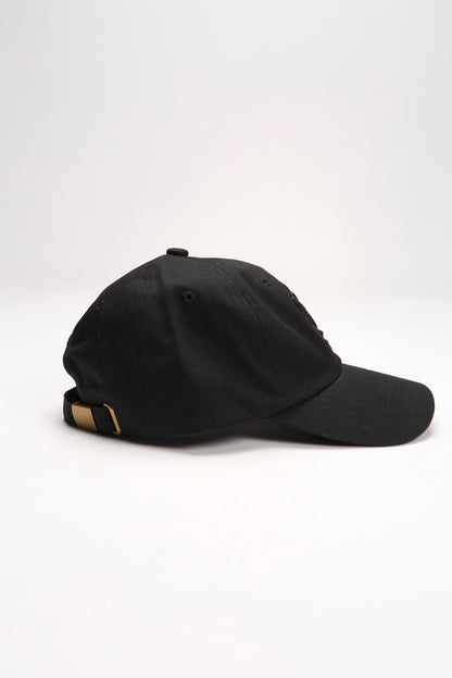 【online limited color】new logo cap